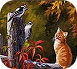 Cat and Friends slide puzzle