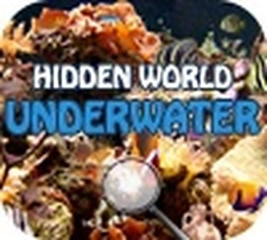 Hidden World: Underwater