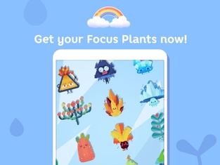 Focus Plants