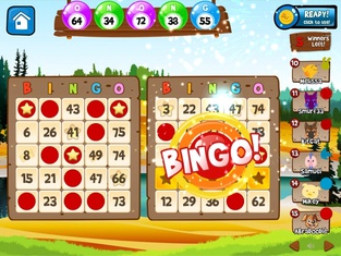 Abradoodle Bingo: игра Бинго