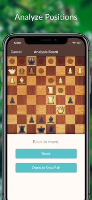 Chess Tactics and Lessons