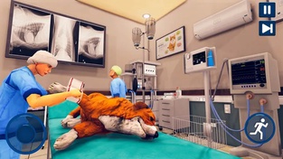 Pet Vet Hospital - Doctor Care
