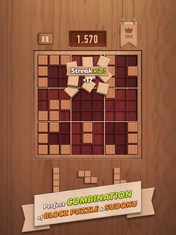 Block Puzzle - Woody 99 2020