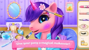 Pony Horse Princess Academy