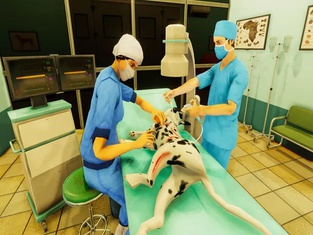 Pet Vet Hospital - Doctor Care