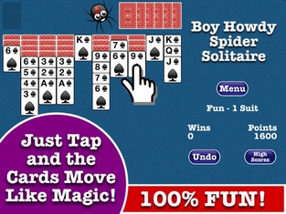 Totally Fun Spider Solitaire!