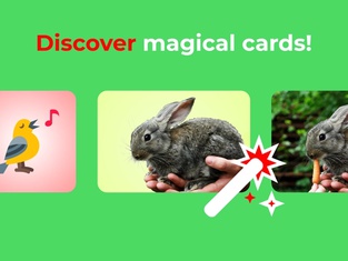 Flashcards. Animal sounds. ABC