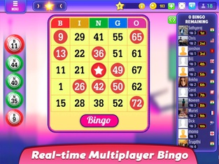 Bingo Party: Live Online Bingo