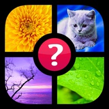 Guess the Word! ~ Photo Quiz with Pics and Words