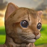 My Cute Little Kitten:Pet Game