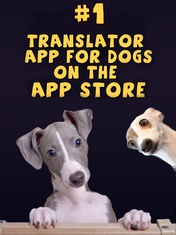 Human-to-Dog Translator