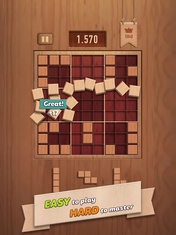 Block Puzzle - Woody 99 2020