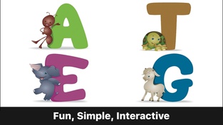 ABC Alphabet Phonics - Preschool Game for Kids