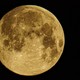Wolf Moon Explained: Significance and the Best Time to Catch a Glimpse